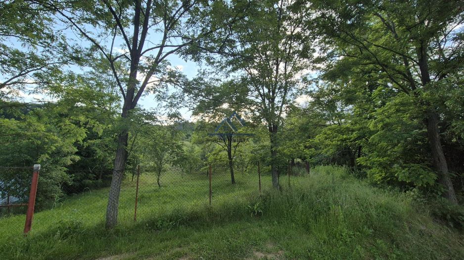 Teren intravilan 1201 mp – Curtea de Arges, Strada Haiducesti - Poză 5