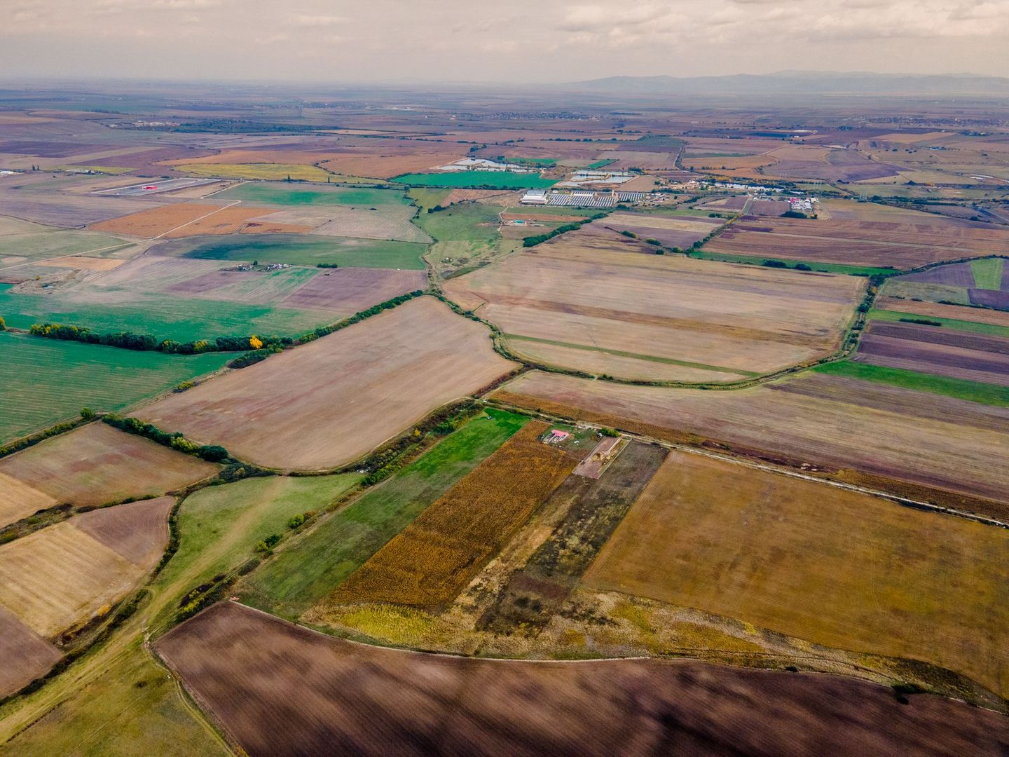 Teren arabil pe Strada Câmpurilor - Poză 5