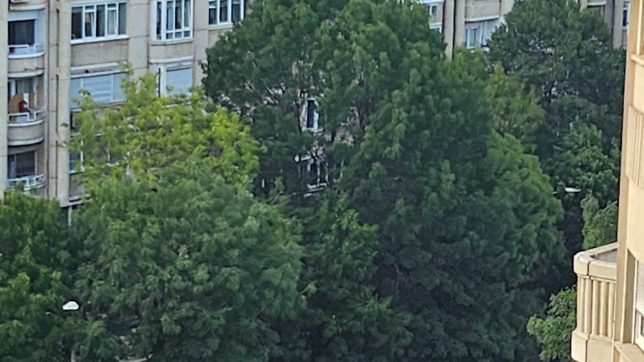 De Inchiriat Garsoniera Bd. Decebal LUX cu TERASA langa Rond Alba Iulia - Poză 23