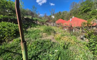 Casa langa Gradina Zoologica - Poză 9