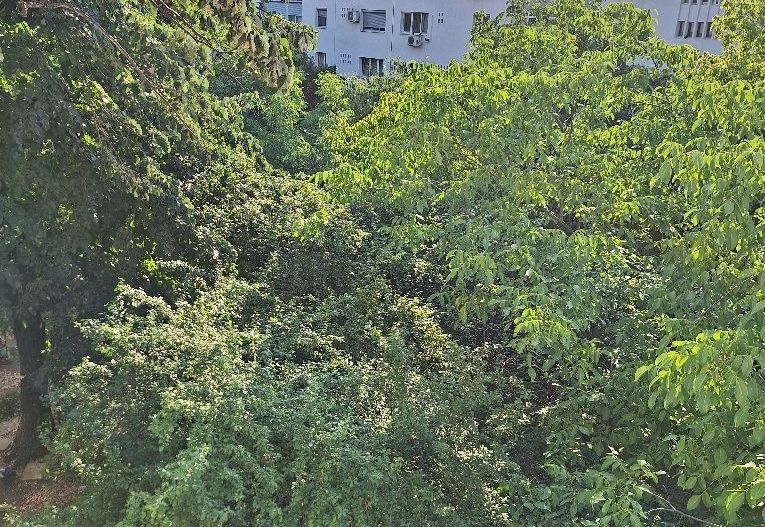 De închiriat: apartament 3 camere - Păcii - metrou - Apusului - S. 6 - Poză 8