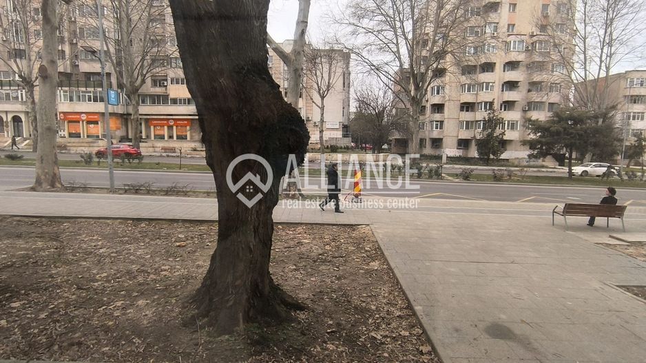 CAPITOL - Bdul Mamaia parter de vila stradal! - Poză 8