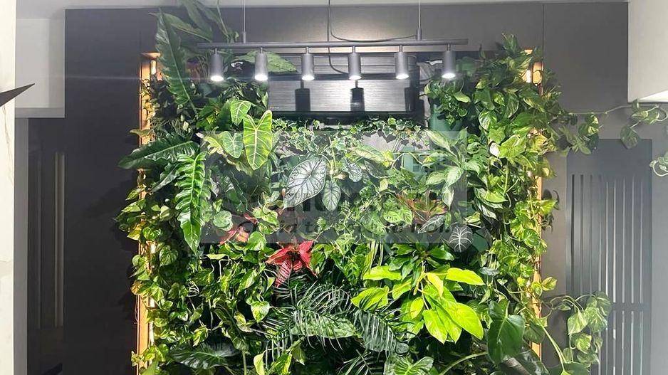 AP. TĂTĂRAȘI DOTARI PREMIUM BOXA PARCARE SUBTERANA 120MP - Poză 19