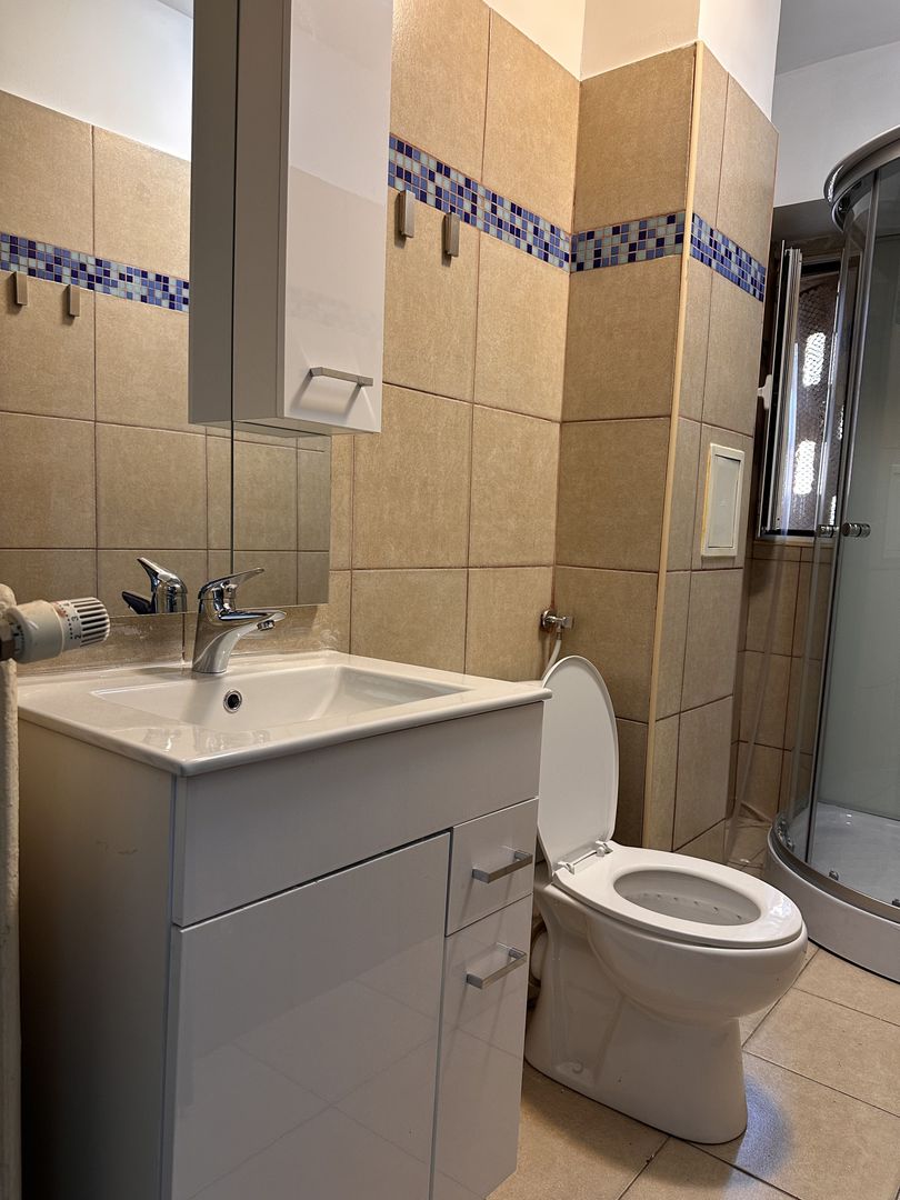 Apartament 2 camere strada Stirbei Voda nr 2 - Sala Palatului - Poză 7