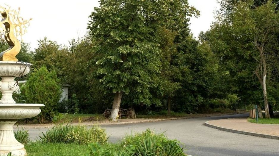 Proiect  autorizat Green City I 3000 mp lotizat - Poză 2