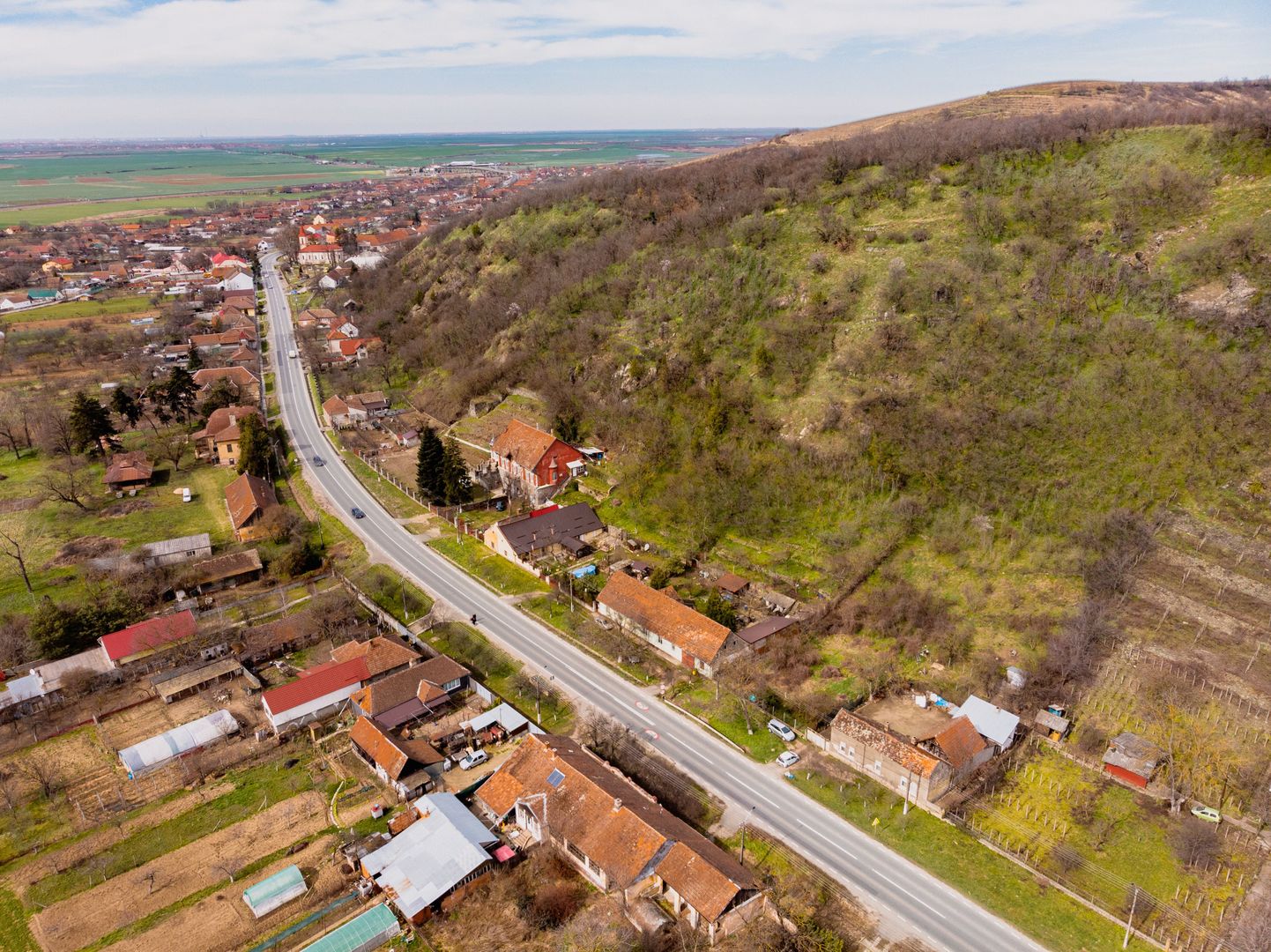 Teren Intravilan Pauliș - Poză 13