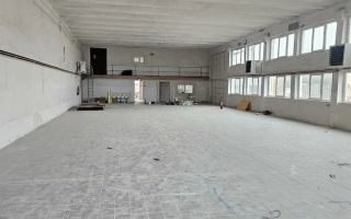 Hala I Spatiu Comercial I Nocrich - Poză 3
