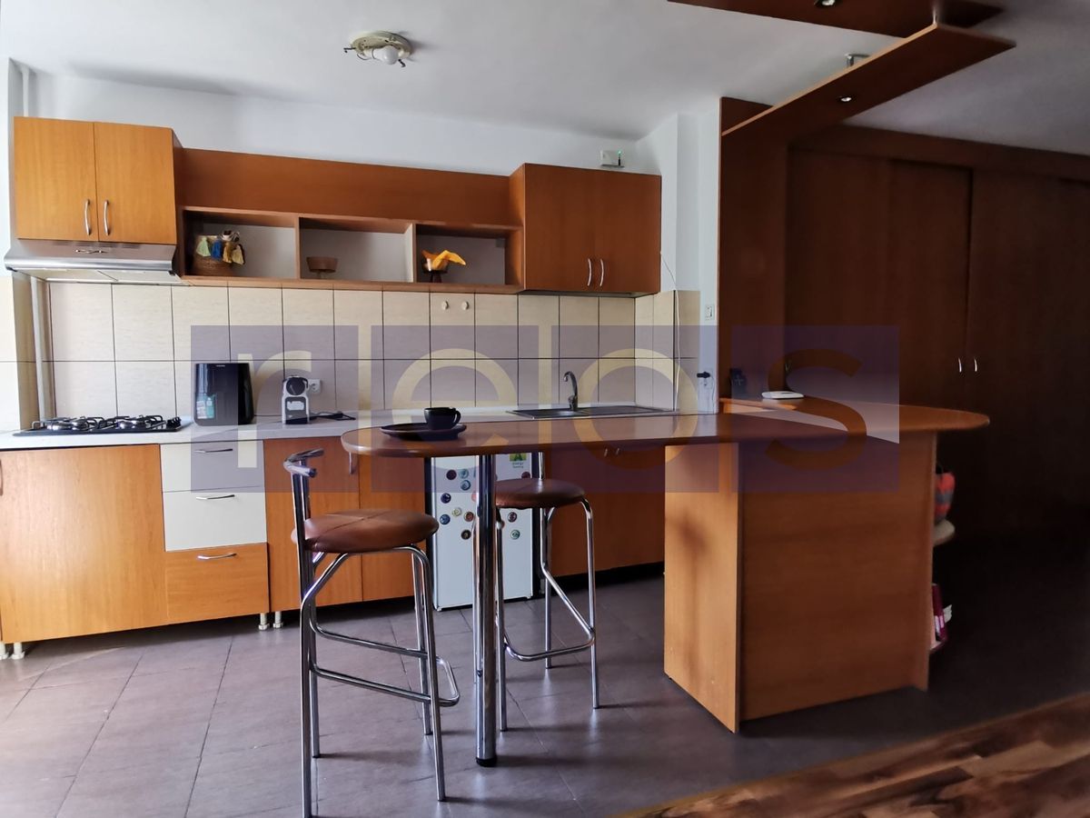 VANZARE -GARSONIERA - TIMPURI NOI - Poză 3