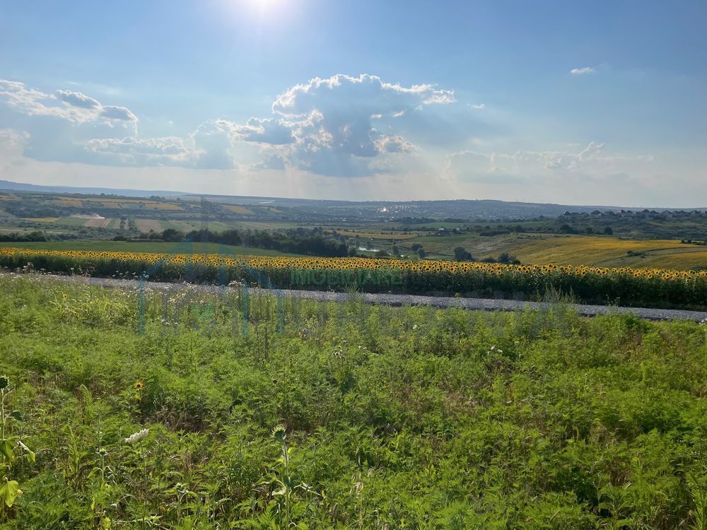 Teren intravilan ,Barnova ,Iași, 834 mp, priveliste panoramica deosebita,langa padure! - Poză 5