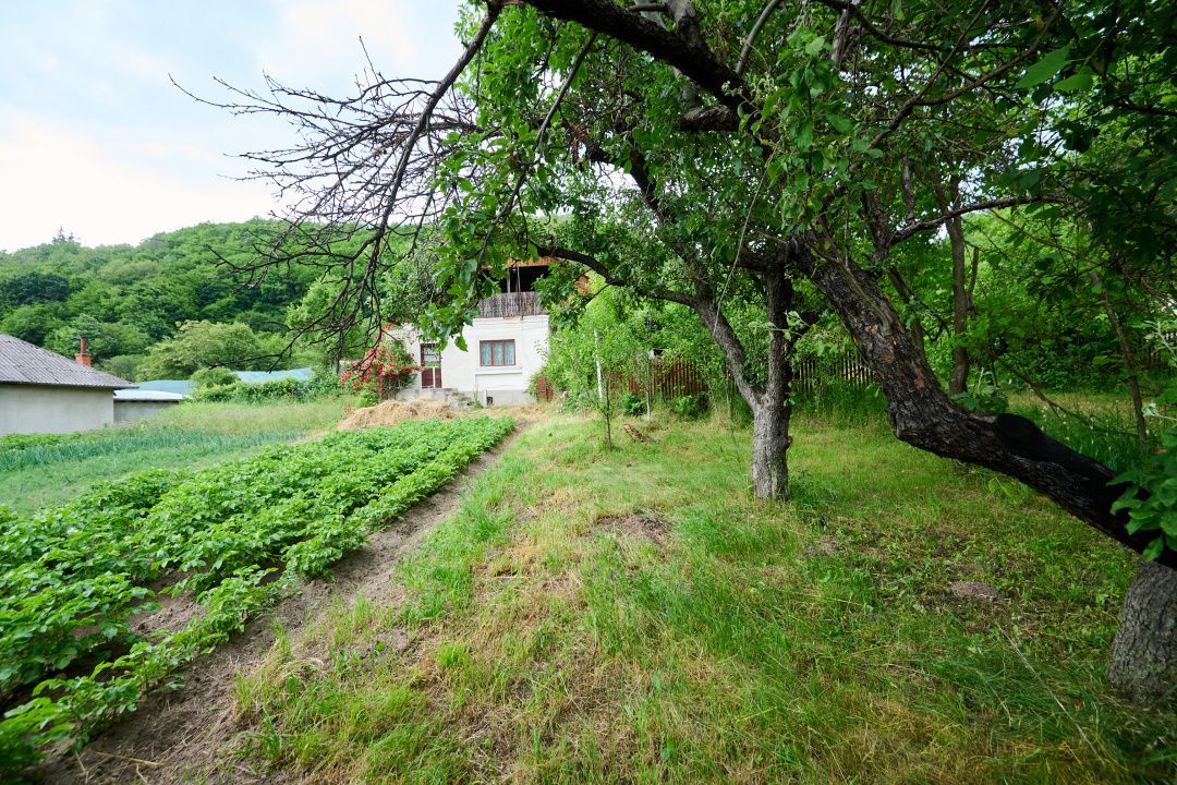 Casa cu teren generos - 4696 mp Apa Sarata - Campulung !! - Poză 8