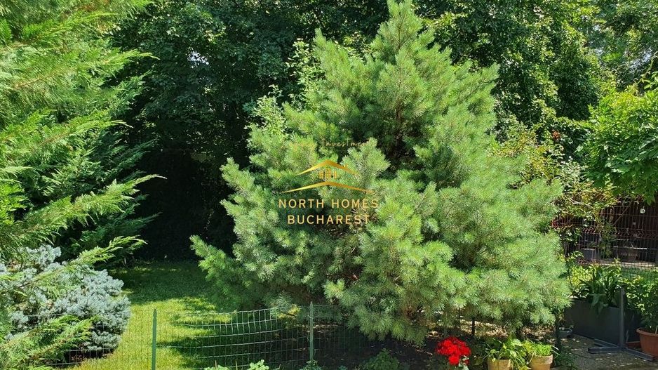 Vila de vanzare P+1 la liziera Padurii Baneasa-PARCARE -NEGOCIABIL - Poză 25