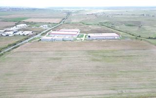 COM 0% Parcele de 4000 mp pentru hale, servicii | Sanandrei - Poză 4