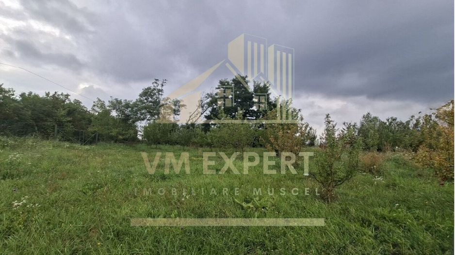 TEREN 20.621 MP CAMPULUNG - Poză 3