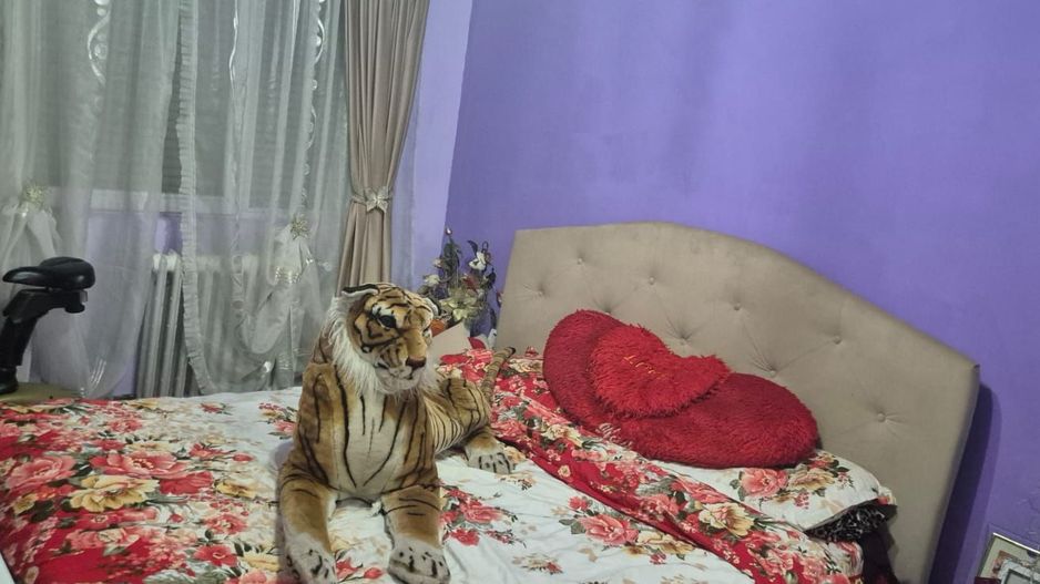 COMISION 0 | Apartament 3 Camere | Et. 2 | Izolat | Centrala | Sagului - Poză 7