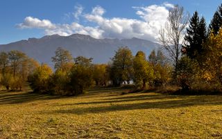 Teren Bran-Tohanita loturi intre 500/1000 mp - Poză 2