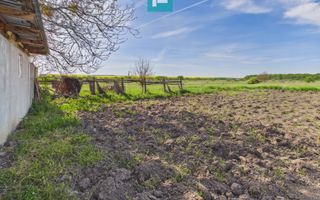 Casă retrasă Pișchia – 4 camere, teren 920 mp - Poză 68