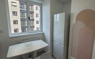 Apartament de închiriat, 1 cameră, Cartierul Vișoianu, Iași - Poză 3