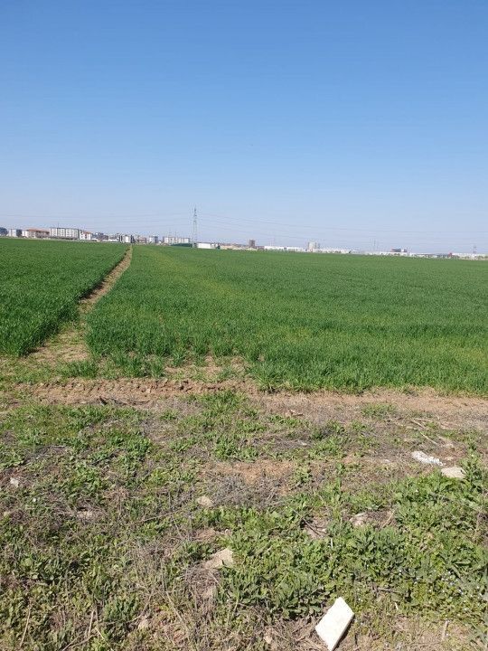 Teren in Dobroesti, Ilfov, Bulevardul Nordului, investitie. - Poză 11