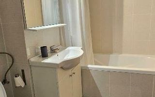 Garsoniera - Parcul Circului - Poză 3