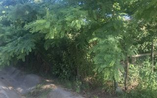 Casă de vânzare, sat Gropnița, teren 900 mp, 25 km de Iași - Poză 1