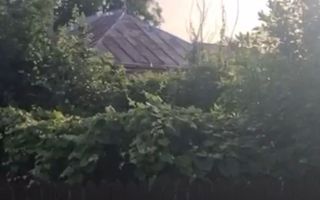 Ocazie unică! Proprietate cu potențial – zona Gherăiești - Poză 3