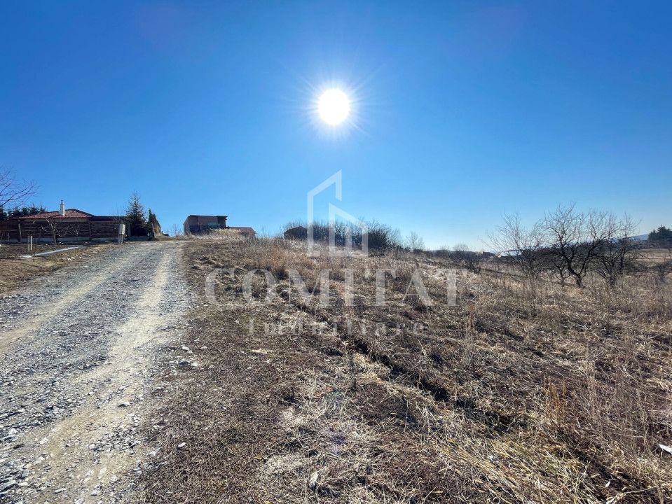 Teren cu potential de investitie 2430 mp si drum de acces - Poză 3