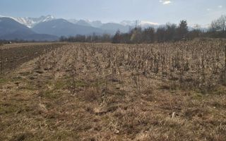 Teren extravilan de vanzare - Arpasul de Sus - Poză 6
