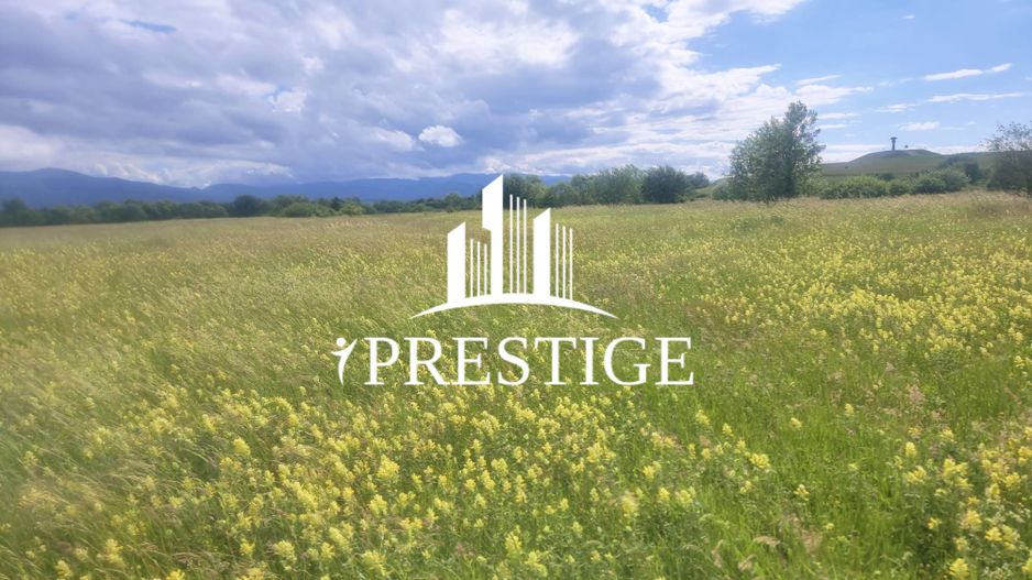 TEREN DE VÂNZARE 1000 MP ȘELIMBĂR ZONA TROIȚĂ | INVESTIȚIE - Poză 6