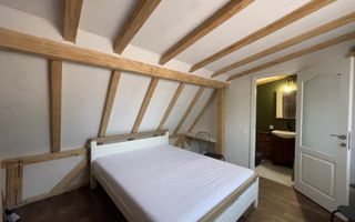 Aparthotel cu randament excelent ultracentral Cluj - Poză 12