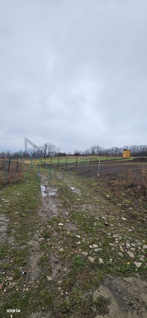 Teren intravilan 656 mp + acces, lângă pădure – Chicerea - Tomești - Poză 3