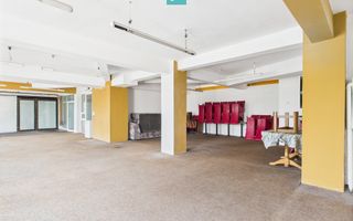 SAD – Calea Aradului, vad excelent - Poză 4