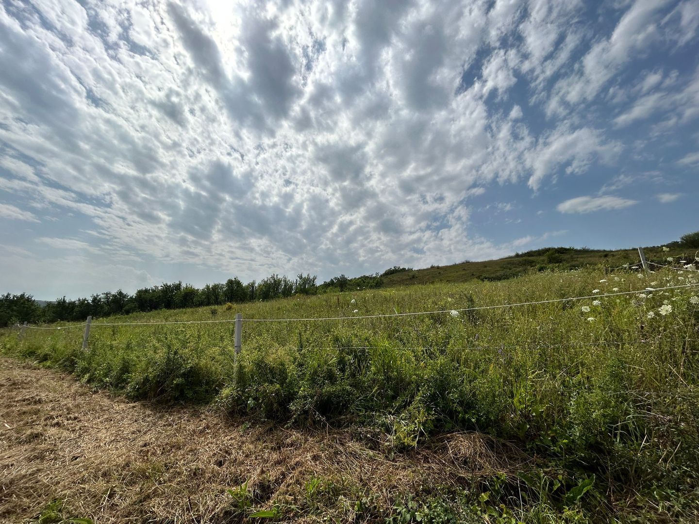 Teren intravilan , localitatea Rascruci ( Cluj) - Poză 6