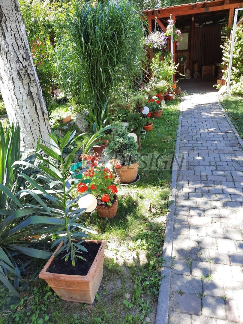 Apartament 4 camere Calea Sagului - Poză 8