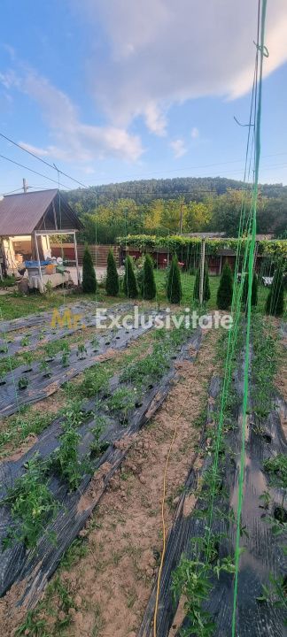 Casă P+M cu 1.558 mp teren, livadă și garaj - Poză 8