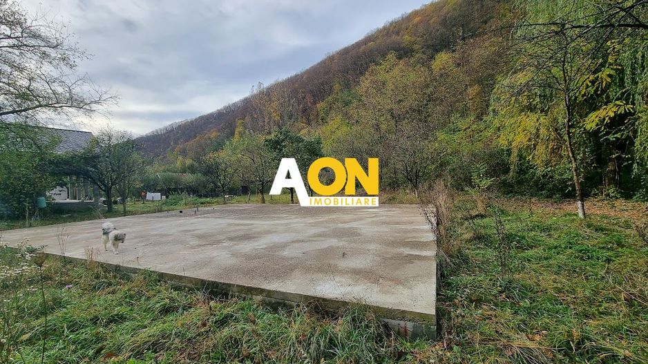 Teren Intravilan de Cabana, Placa Turnata, Ramet - Alba Iulia - Poză 3