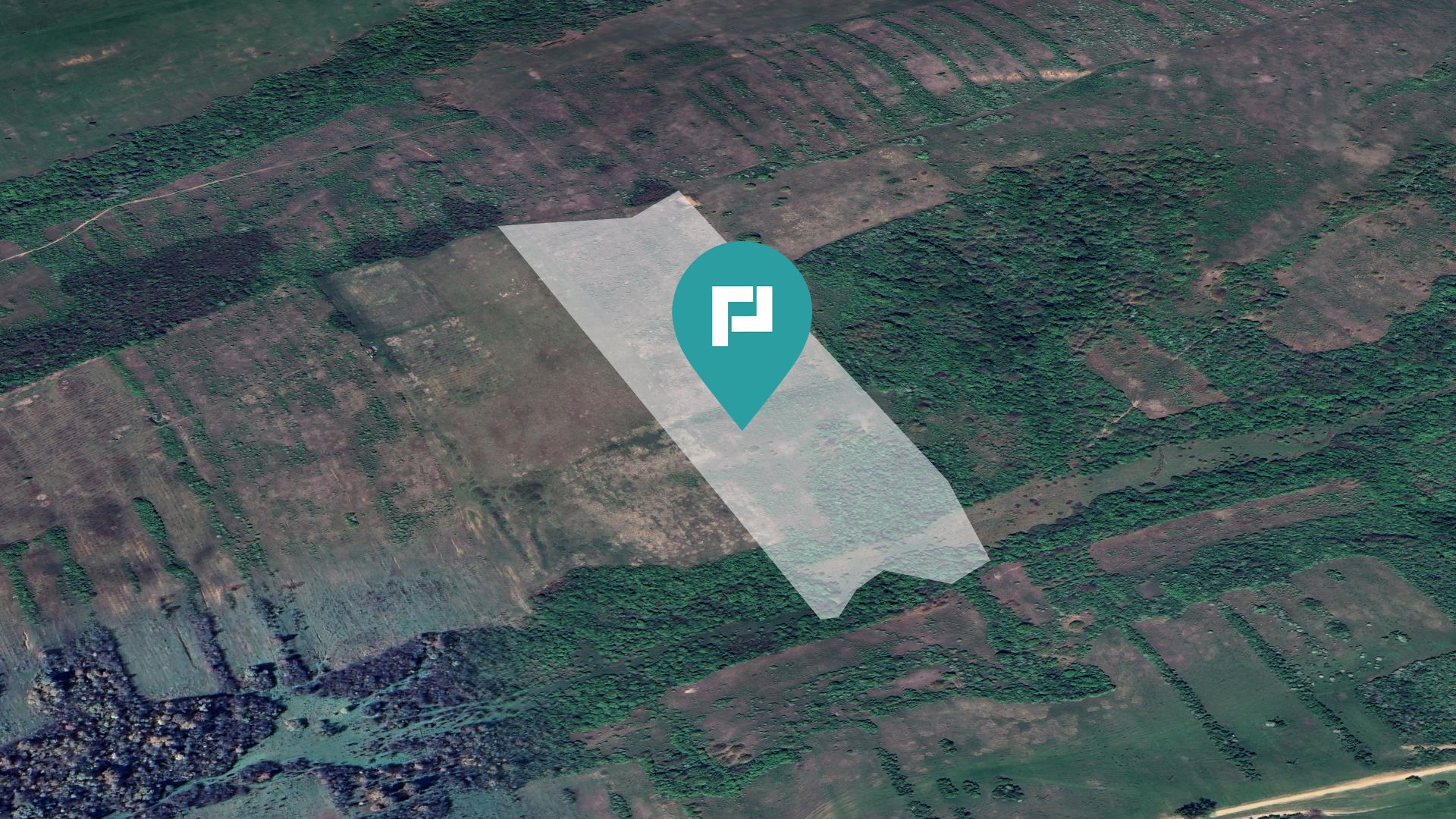 Teren arabil de 11,3 hectare în Bara, Timiș - Poză 1