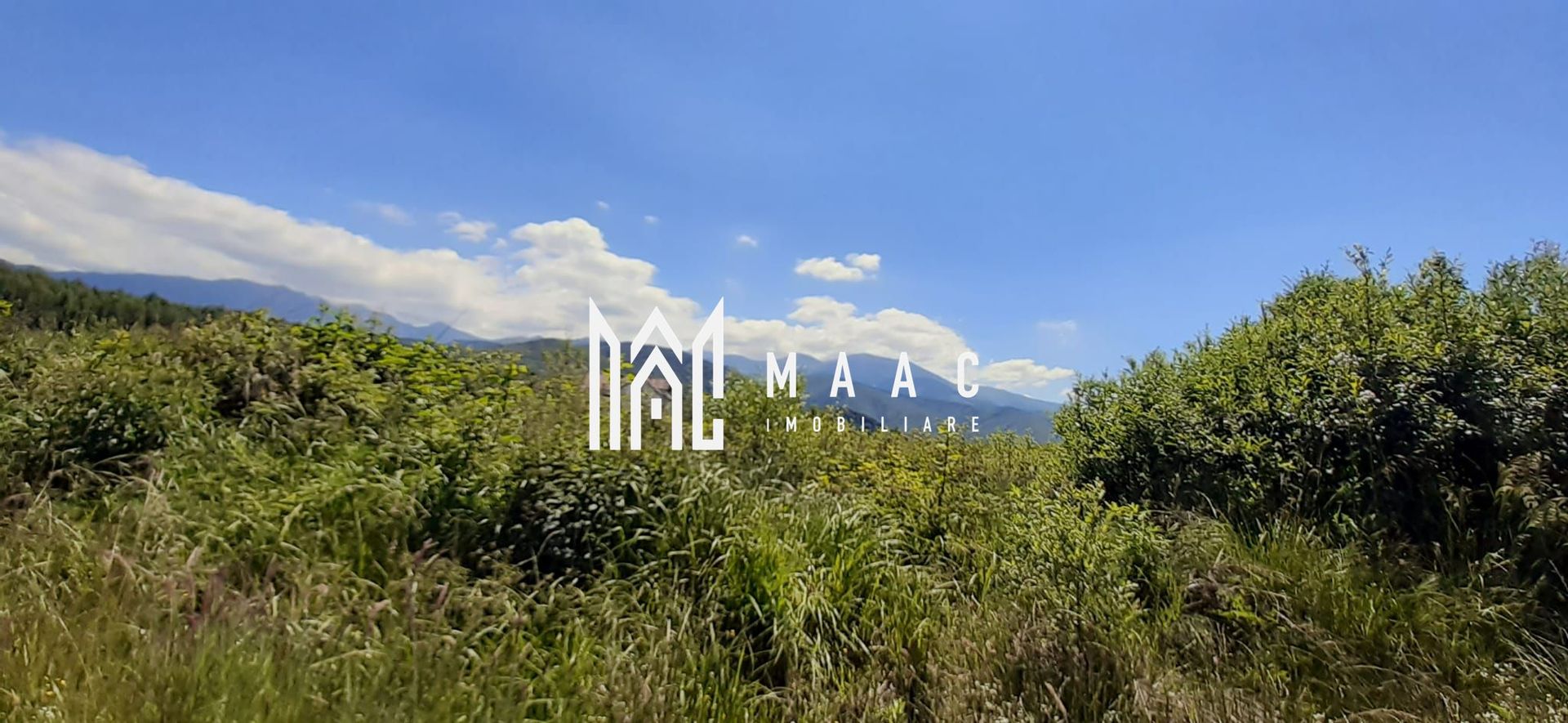 Teren Valea Avrigului | Investitie | 13000 MP - Poză 3