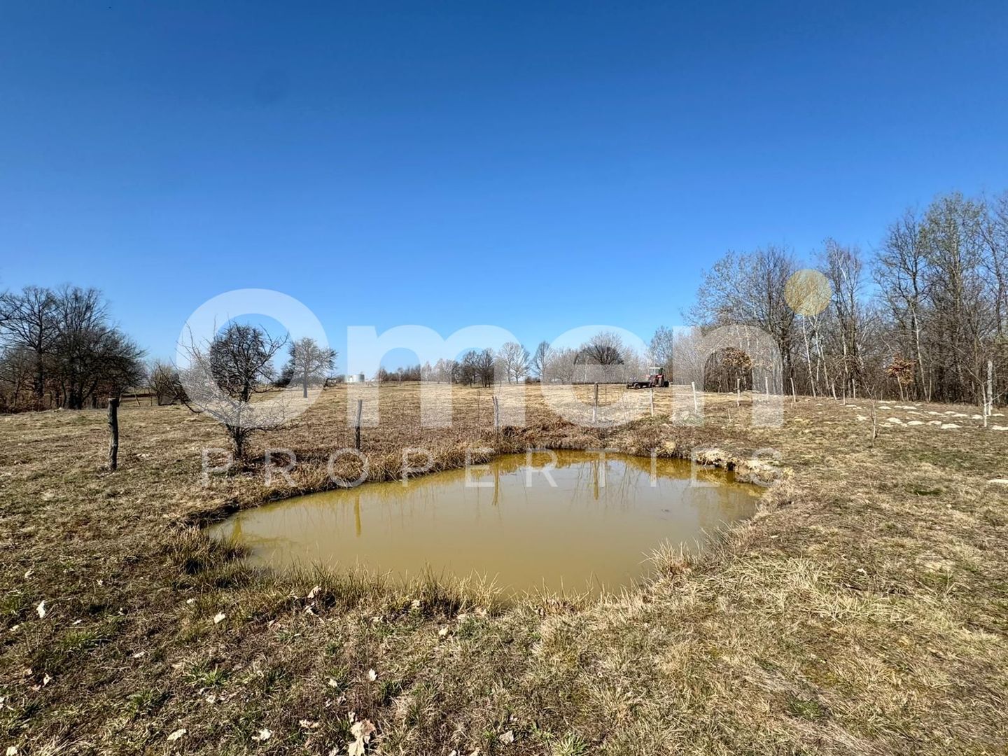 Teren intravilan | Berința | 5800 mp - Poză 1