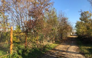 Teren intravilan de vanzare | 12.650 mp | Ghirdoveni, | COMISION 0% - Poză 10