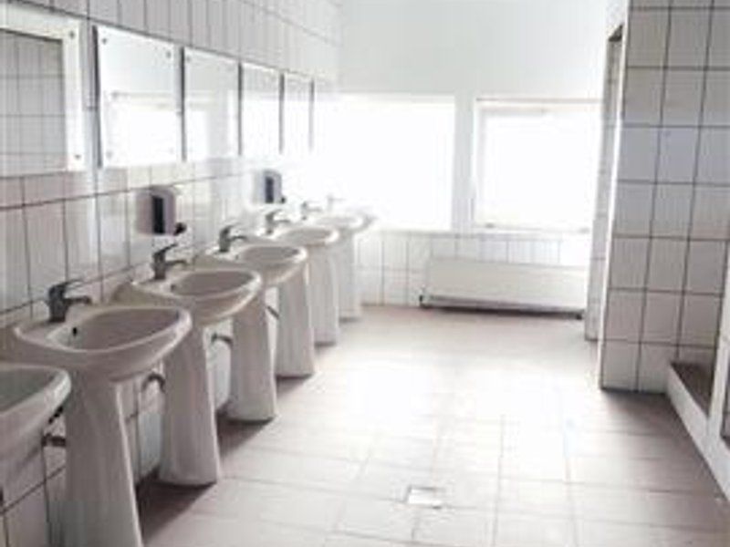 hale in parcul Roman sau tractorul - Poză 9