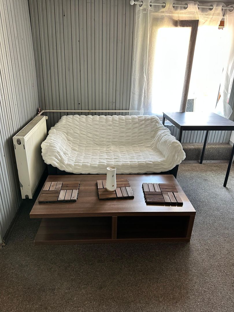 SPATIU COMERCIAL DOMENII, LOC PARCARE, CENTRALA, MOBILAT/UTILAT, CURTE - Poză 27