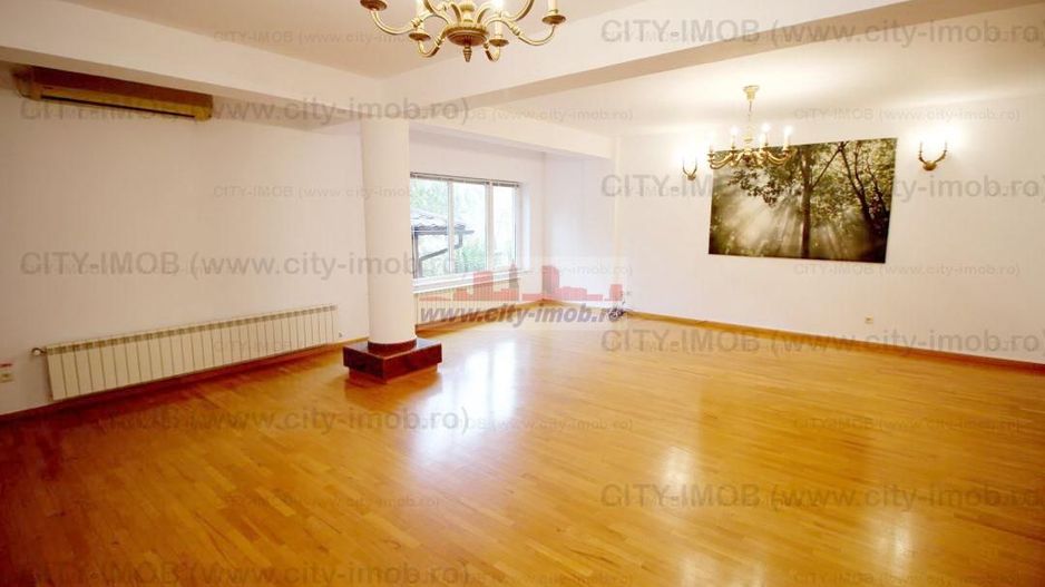 Inchiriere Vila Iancu Nicolae,  Nord,  Pipera - Poză 5