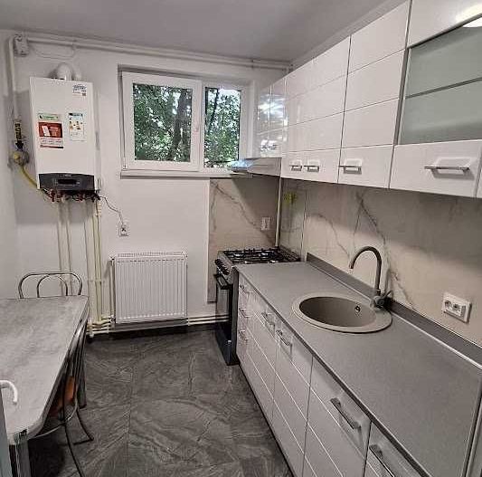 Apartament 2 Camere in Rovine - Poză 5