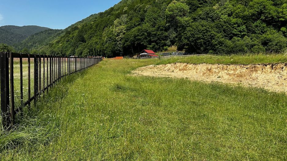 Teren intravilan - 1117 mp în Plaiul Foii - Poză 11