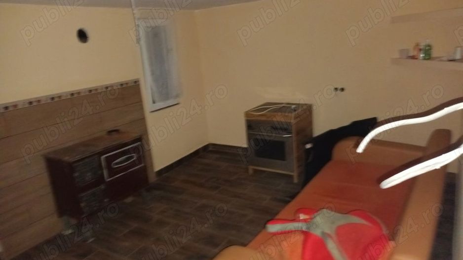 BRASADAS vinde casuta de vacanta in Ardud. - Poză 7