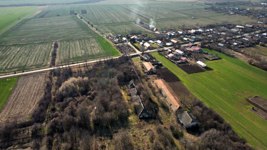 Ferma si livada de meri in judetul Ilfov - Poză 6