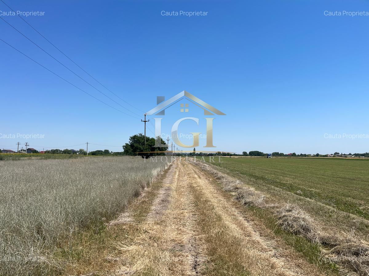 🌿 Teren de vânzare – Tărtășești ,12500 E - Poză 4