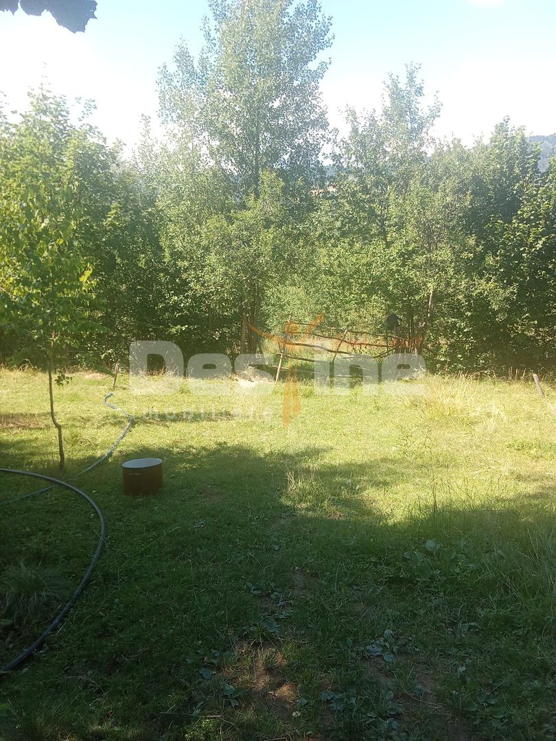 Teren de vânzare – Moisei, Maramureș - Poză 1
