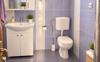 Casă de vânzare în URIU - 1400 mp teren . - Poză 5