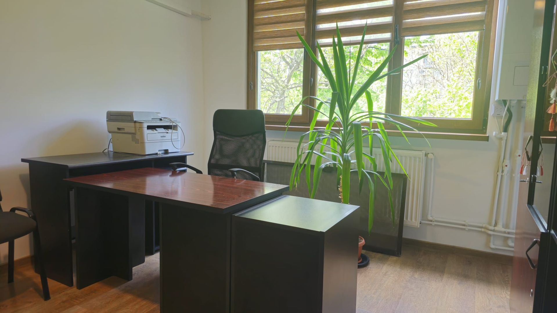 Garsonieră de închiriat – ideală pentru birou/cabinet, Țiglina 1 - Poză 2